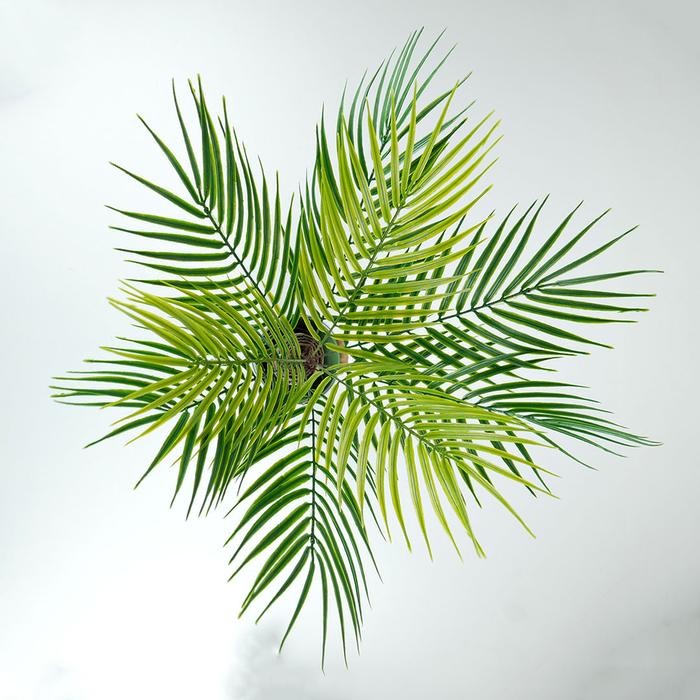 Daun Palem Duri Cabang 9 Artificial Tanaman Daun Hias Palsu Plastik Tancap untuk Pajangan Hiasan