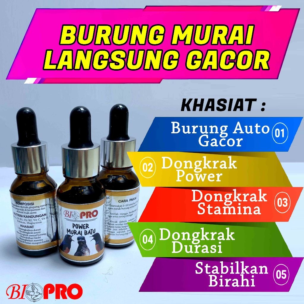 PENGGACOR SEKETIKA BURUNG MURAI BIOPRO POWER MURAI BATU GANTANGAN TERBUKTI