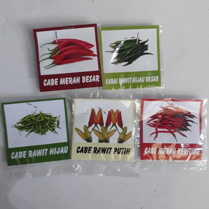 Ready Stock Bibit Tanaman Cabe Rawit Putih,Rawit Hijau,Hijau Besar,Merah Keriting,