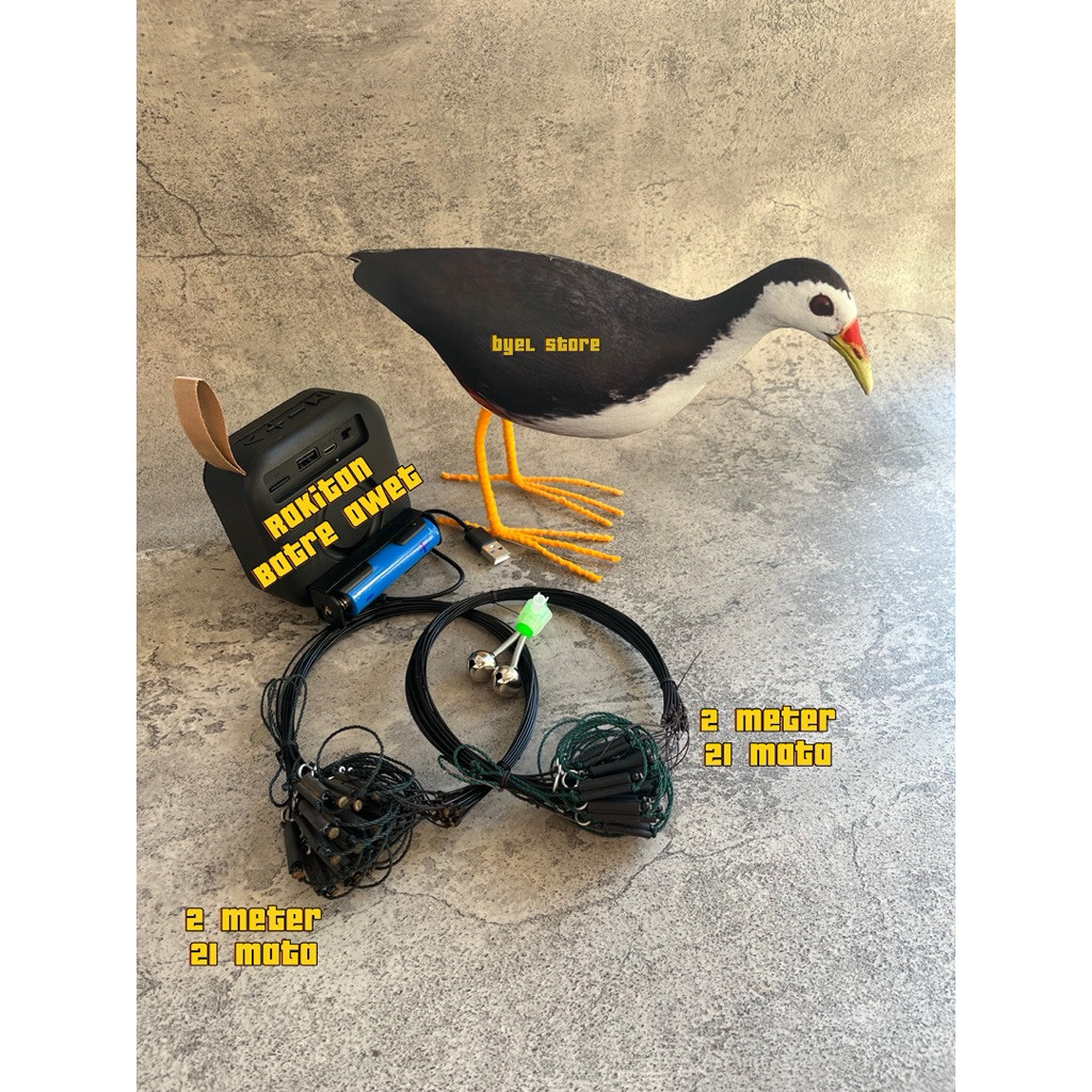 Paket Patung Burung Ruak Ruak Kareo Padi+Jerat Gantung+MP3