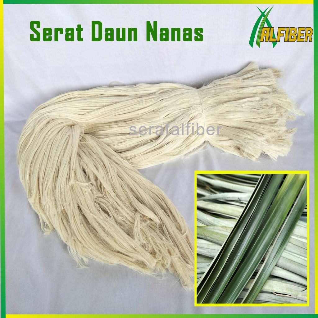 Serat Daun Nanas Serat Alam Pineapple Leaf Fibre 100% Alami Tanpa Bahan Kimia