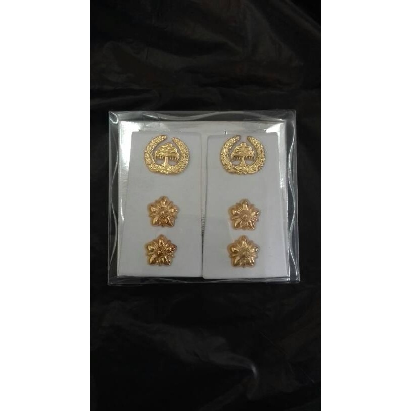 PREMIUM pangkat PNS 3B