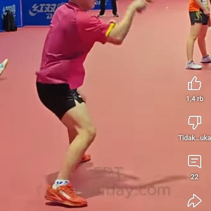 Sepatu Butterfly Lezoline Levalis Original New