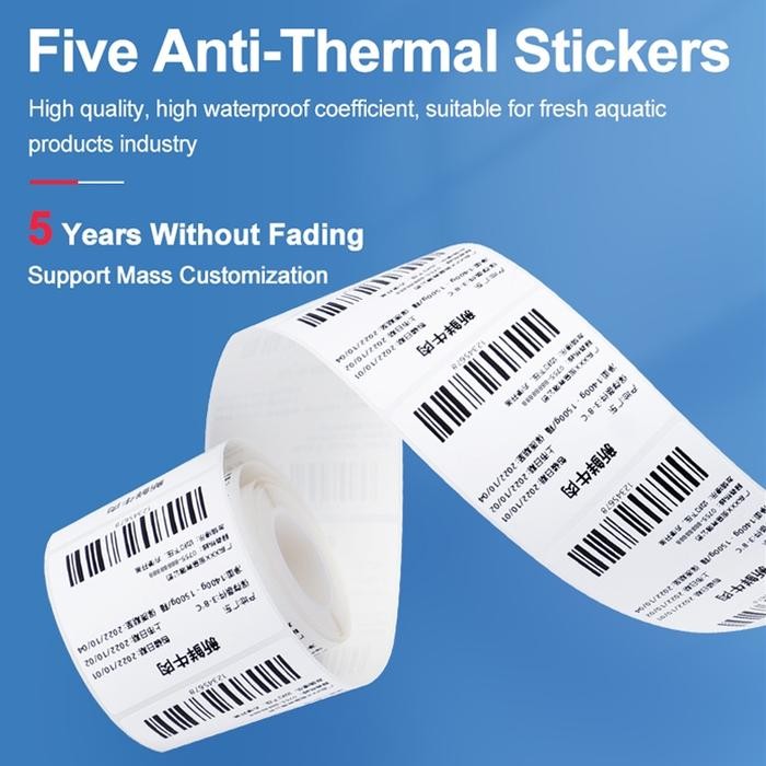 

Terlaris- Clabel 220B/221B/230B High-Quality Synthetic Coated Thermal Paper