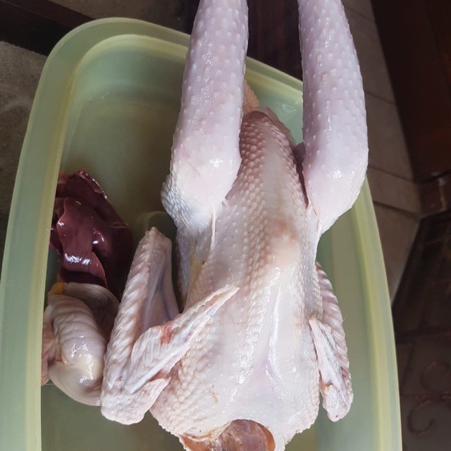

Ayam Kampung Asli Segar 7-9 Ons Siap Konsumsi
