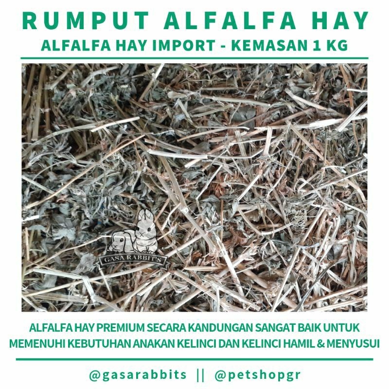 RUMPUT ALFALFA HAY 1 KG - ALFALFA HAY - RUMPUT HAY KELINCI - HAY MAKANAN KELINCI - RUMPUT HAY 1 KG
