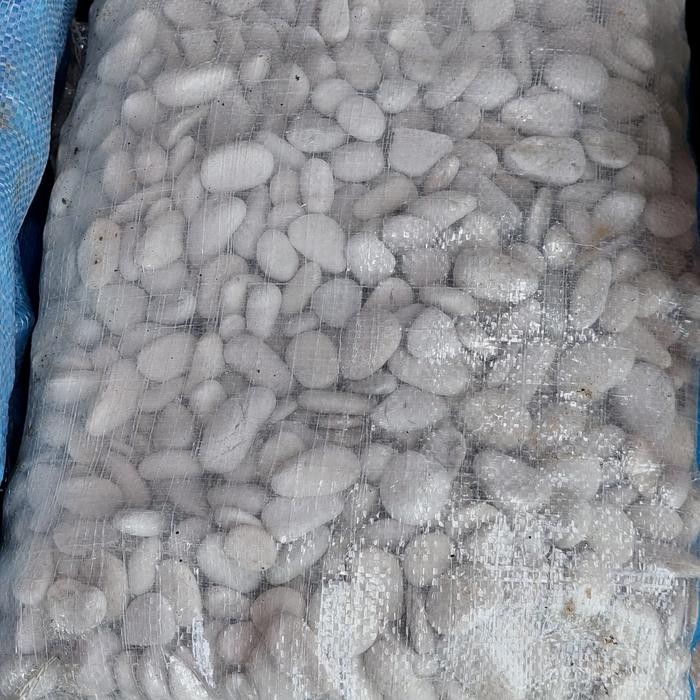 BATU HIAS KORAL PUTIH KARUNG