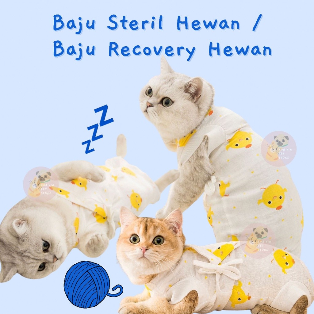 Baju Steril Kucing Anjing / Baju Recovery Kucing Anjing