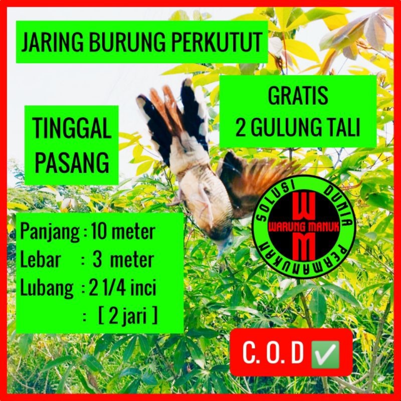 JARING BURUNG PERKUTUT 10 METER JARING KUTOT SIAP PAKAI JARING BURUNG PERKUTUT SIAP PASANG JARING
