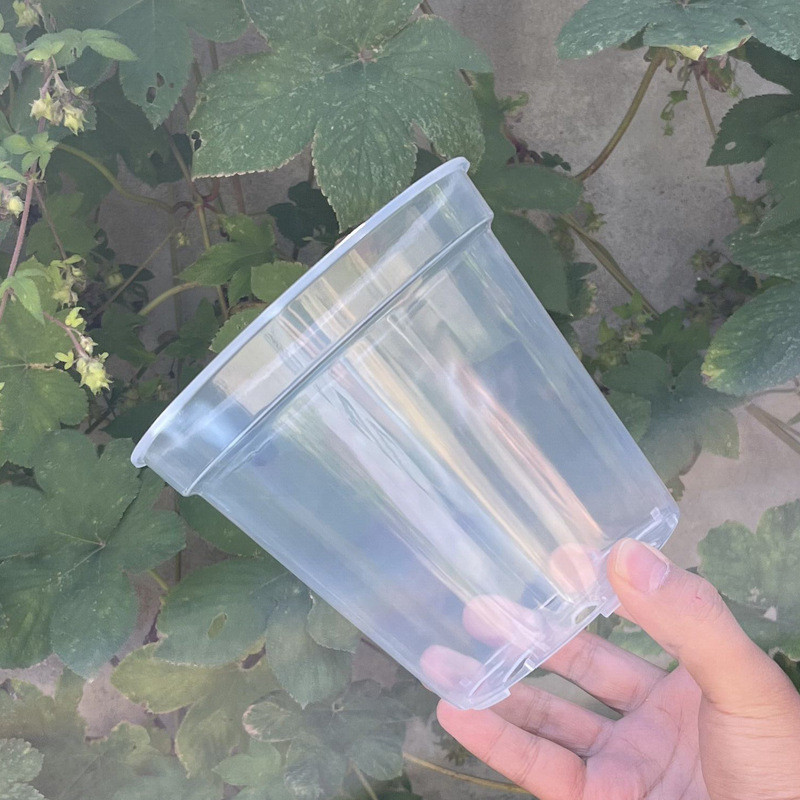 5 Buah Pot Tanaman Bunga Plastik Pot Anggrek Plastik Bening dengan Lubang untuk Perlengkapan Berkebu