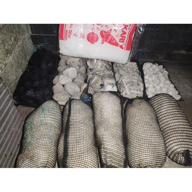 Fur Babies Paket Media Filter Koi Siap Pakai/Media Filter Kolam/Paket Hemat Media Filter