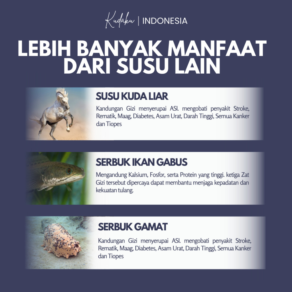 

KUDAKU Susu Kuda Sumbawa Asli Atasi Pencernaan Lancar Pembersih Usus Kotor Usus Kotor