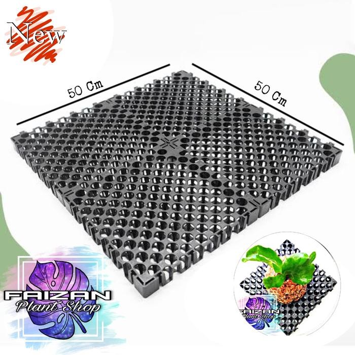 media tanam papan gantung platycerium 5050 cm