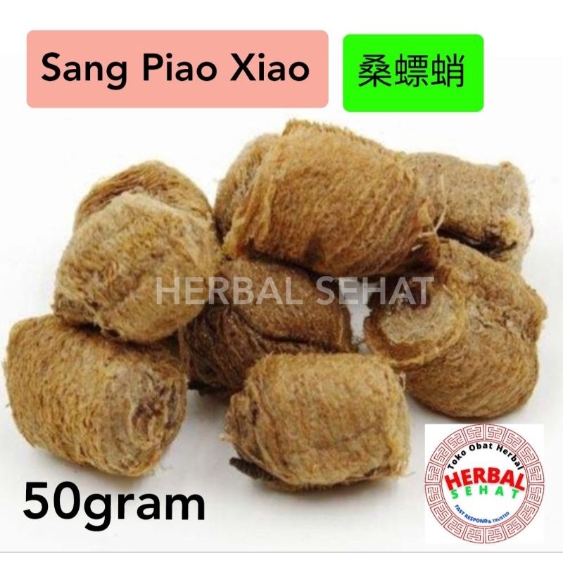 

Sang Piao Xiao 50 gram Suang Biao Xiao / ootheca mantidis mantis egg case [PREMIUM]