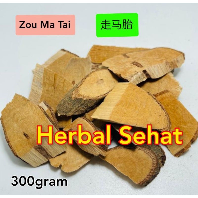 

Zou Ma Tai Ma Tai Ardisia Root (300g) [PREMIUM]