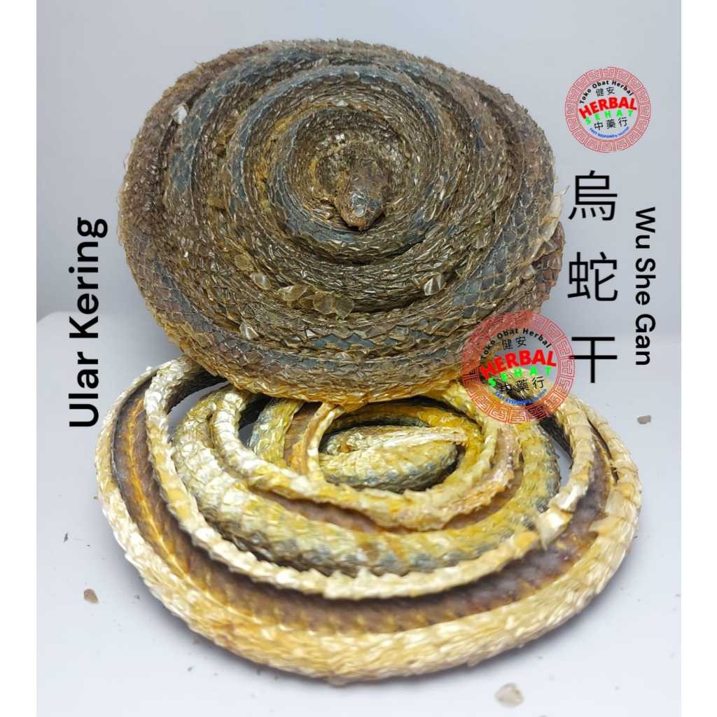 

600 gram - Wu She Gan - Hua She Gan - Qi She Gan Agkistrodon Acutus [PREMIUM]