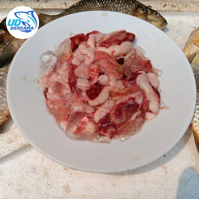 PREMIUM JEROAN IKAN MAS UNTUK PEPES, UMPAN MANCING