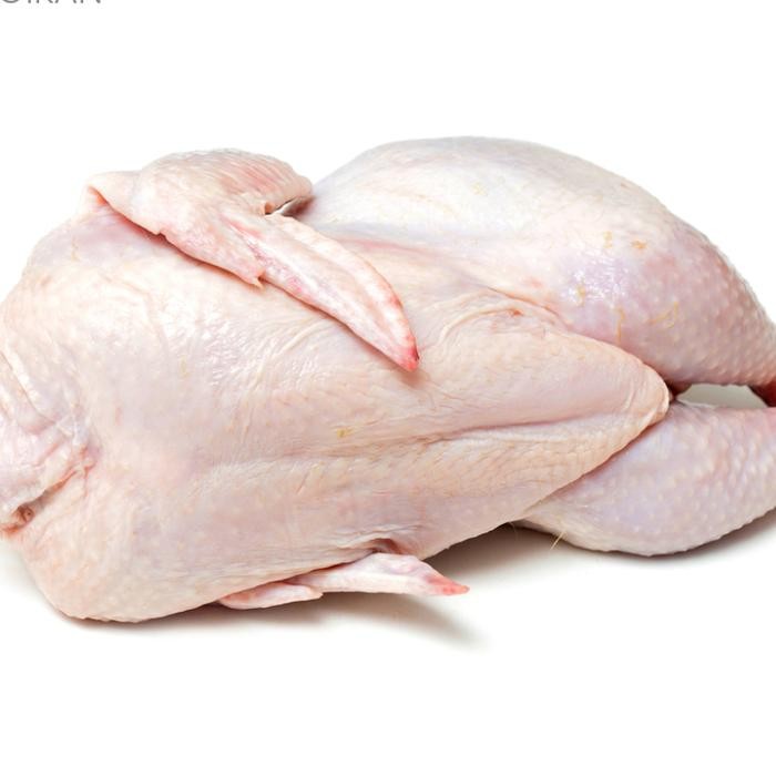 

Ayam Karkas Broiler Ayam Potong Utuh 0.9-1 Kg