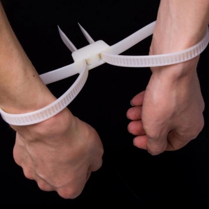 

CABLE TIES DOUBLE HEAD 12 X 680 MM BLACK UNTUK BORGOL