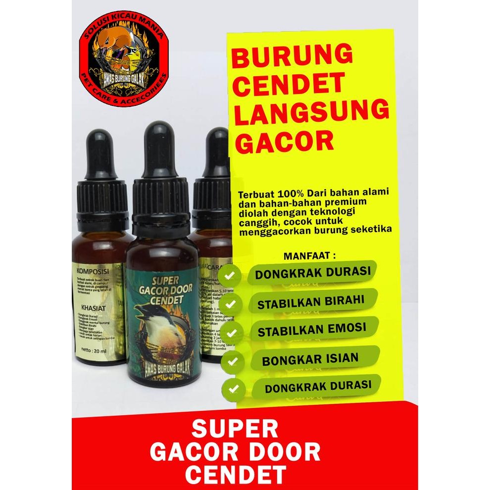 Buruan,. Super Gacor Door Cendet Pentet Penggacor Seketika