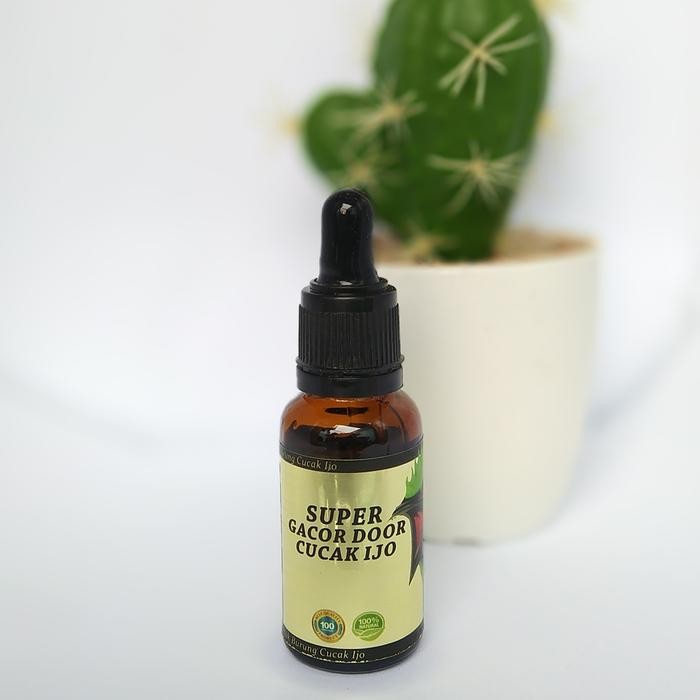 Original.. Penggacor Cucak Ijo Super Gacor Door Cucak Ijo Juara Lomba Gantang