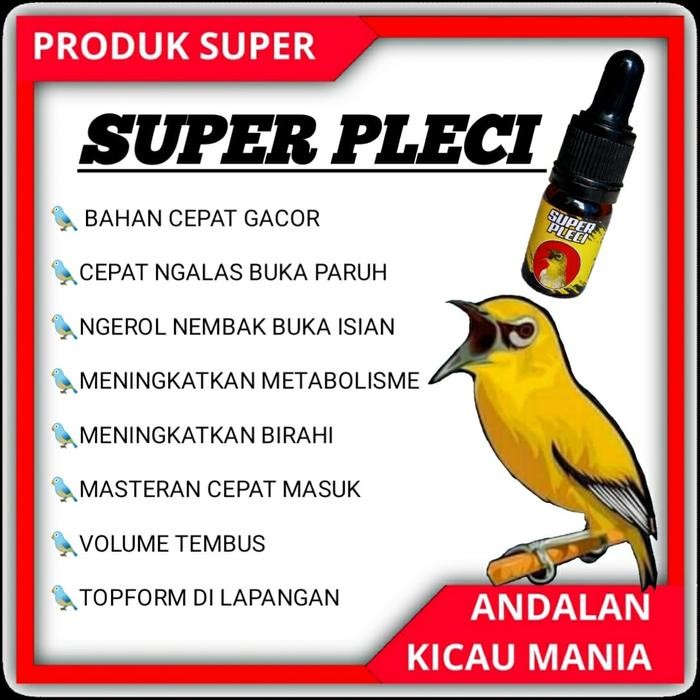 Asli.. Vitamin Super Pleci - Vitamin Penggacor Pleci