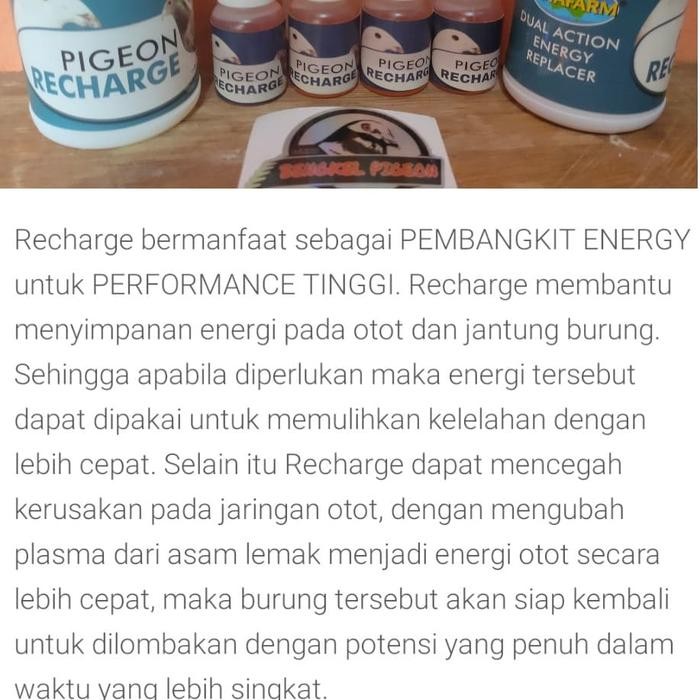 New.. Vitamin Suplemen Doping Tetes Vetafarm Recharge Cair Merpati Lomba