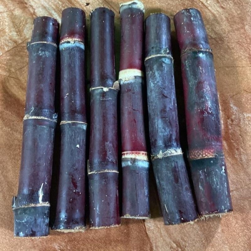

Jual Tebu Hitam Per 1 Kg Herbal Alami