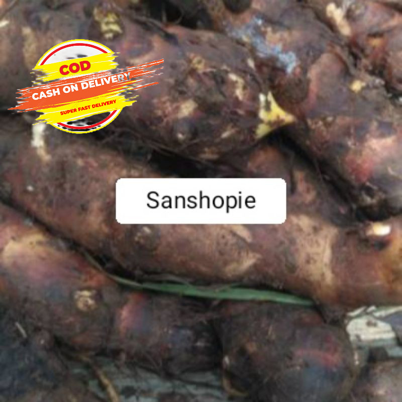 

Ubi umbi talas pulen segar paket per 1 kg