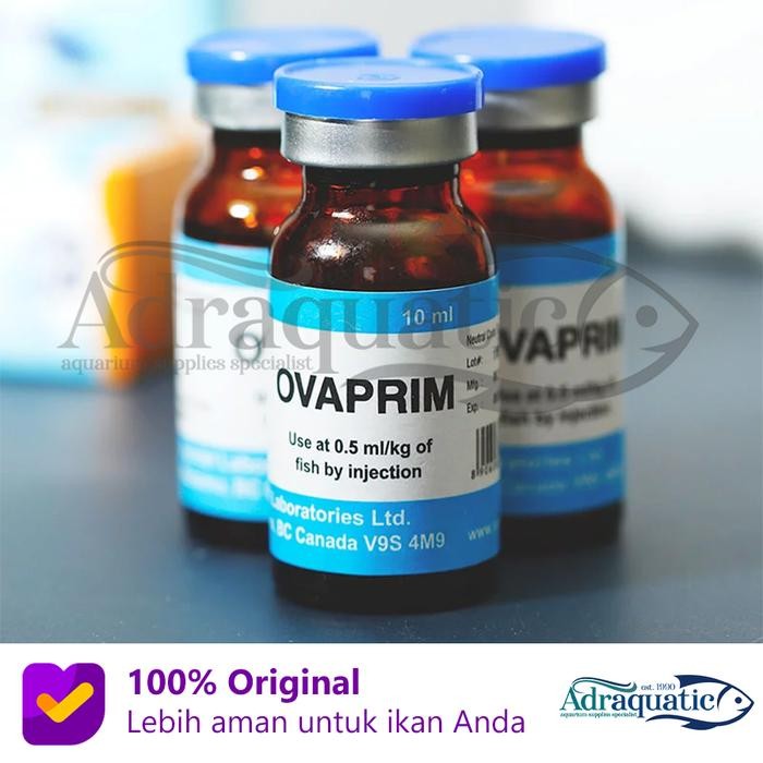 OVAPRIM SYNDEL 10ML HORMON OBAT PEMIJAHAN IKAN HIAS