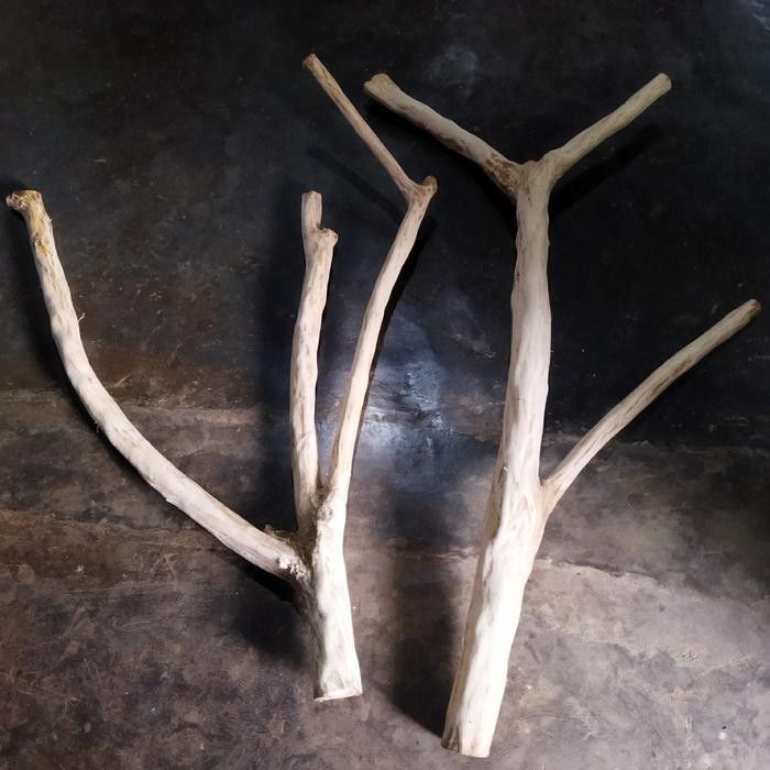 kayu kopi bercabang tangkringan reptil/burung