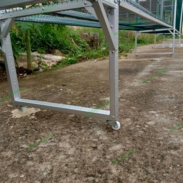 kandang umbaran murai