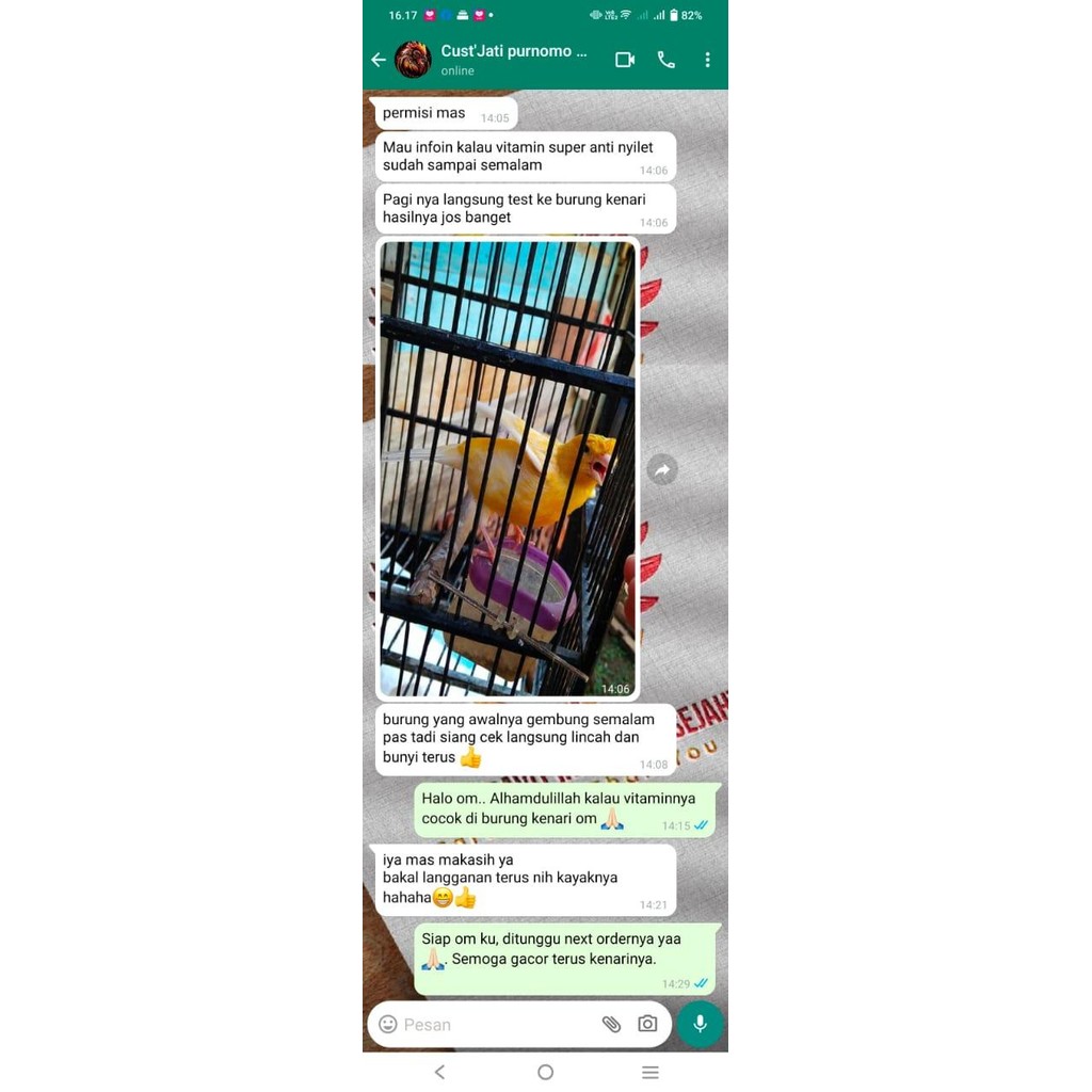 obat burung nyilet super anti nyilet untuk burung kurus lemas sakit