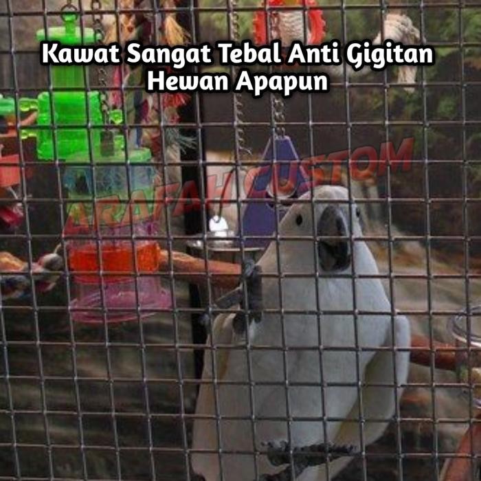 Kandang Burung Macaw Parrot Kaka Tua Nuri Falk Sun Conure Besi Besar