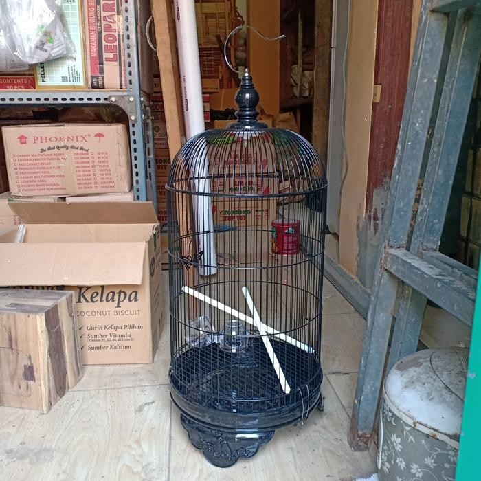kandang sangkar lb lovebird merk boom khusus