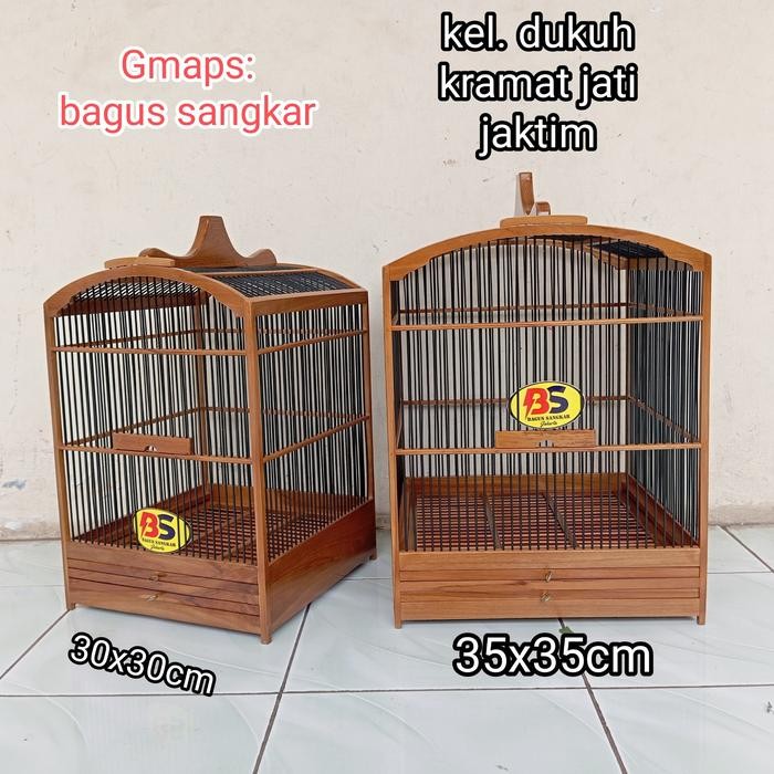 sangkar jati penjinakan wambi
