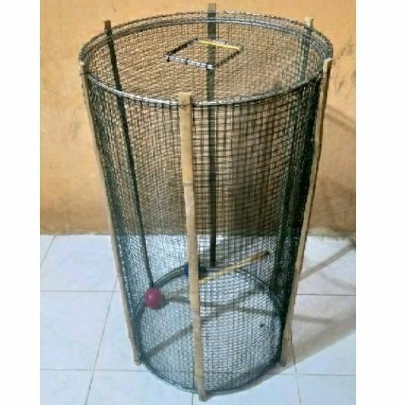 Kandang Umbaran Bulat 50cm Sledding jungkat-jungkit