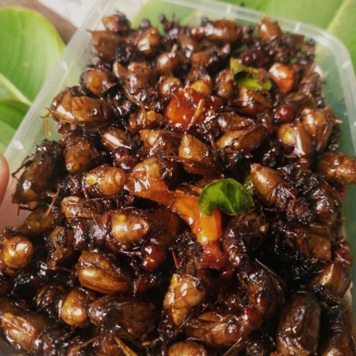 

Stock Terbatas!!! 100rb dapat 3 Pack - Putul Goreng Gurih