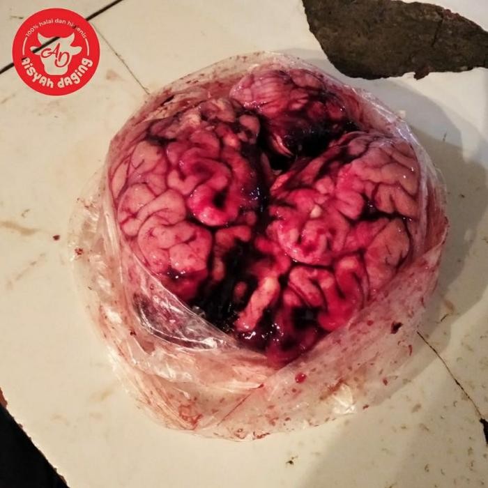 

Otak Sapi Segar Aisyah Daging