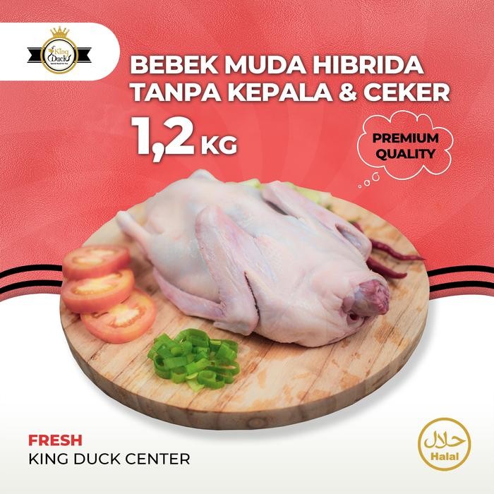 

DAGING BEBEK HIBRIDA 1,2 KG TANPA KEPALA KAKI