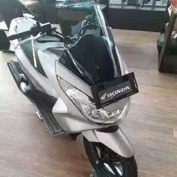 Visor /Winsil Honda Pcx Cbu