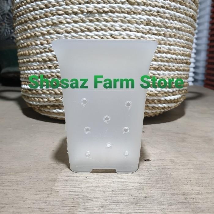 (LUSINAN 12 BH) Pot Kotak NKT 12 Jouss Bening Transparan Berlubang Kode 163