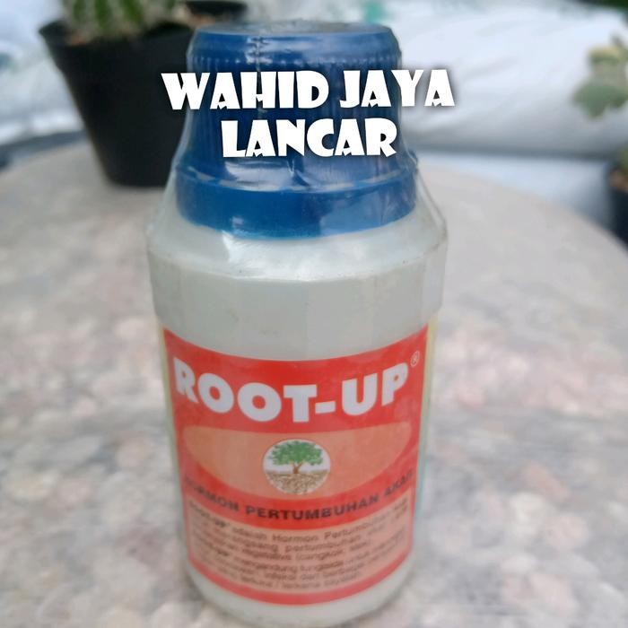 ROOT-UP 100gr / Hormon Akar / Obat stek / Cangkok Kode 843