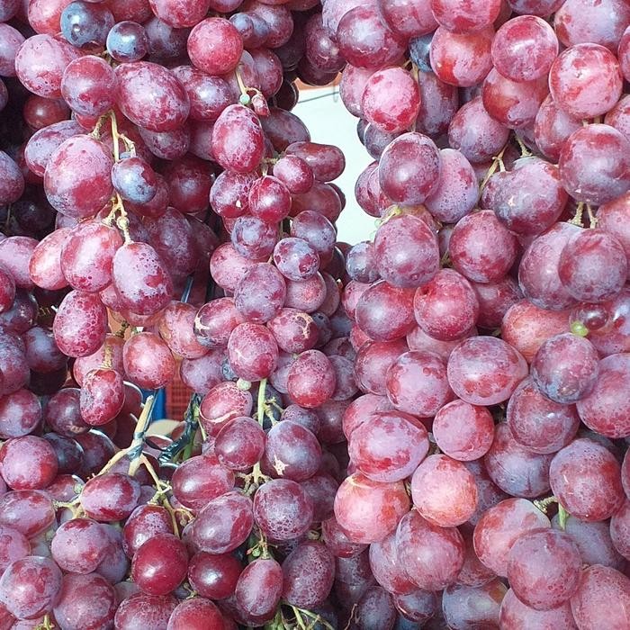 

New anggur merah manis kres 500g