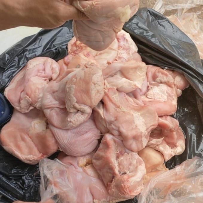 

TITO BABI /CUTU/PIG STOMACH (ITUNGAN HARGA SATUAN) KODE 32