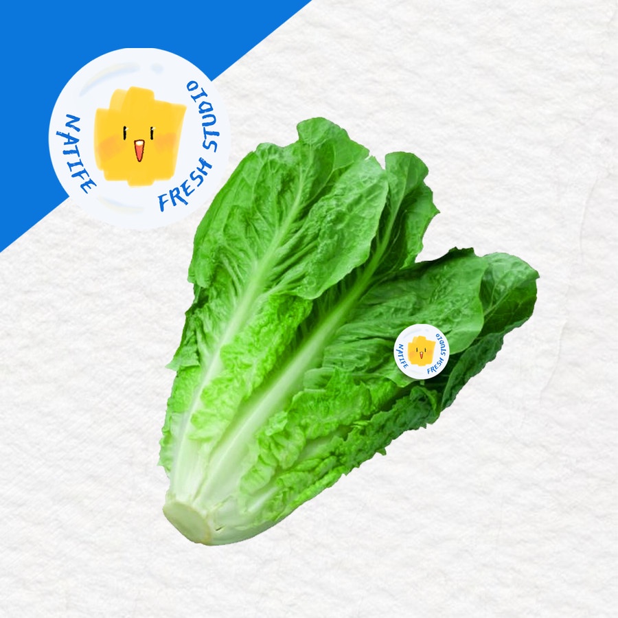 

SAYUR Daun Selada Romaine Lettuce 250gr 500gr 1kg | SEGAR FRESH - 500gr