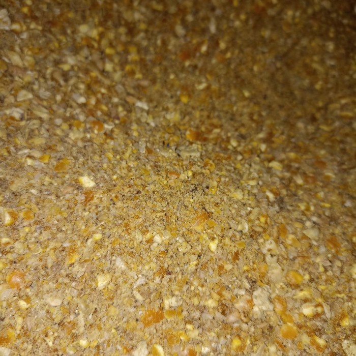 Voer Ayam Telur/Makanan Ayam Telur 25 Kg & 50 Kg