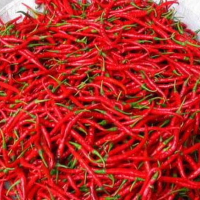 

cabe merah keriting 500gram