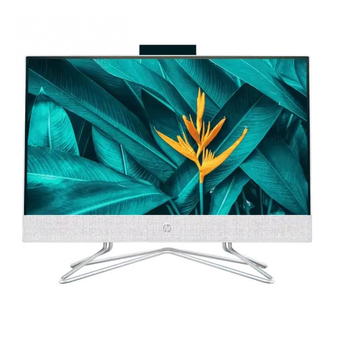 Pc Aio Hp 22 - Df0144D Intel Celeron J4025 4Gb 1Tb Windows 11