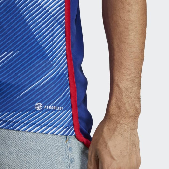 Jersey Original Japan Jepang Home World Cup 2022